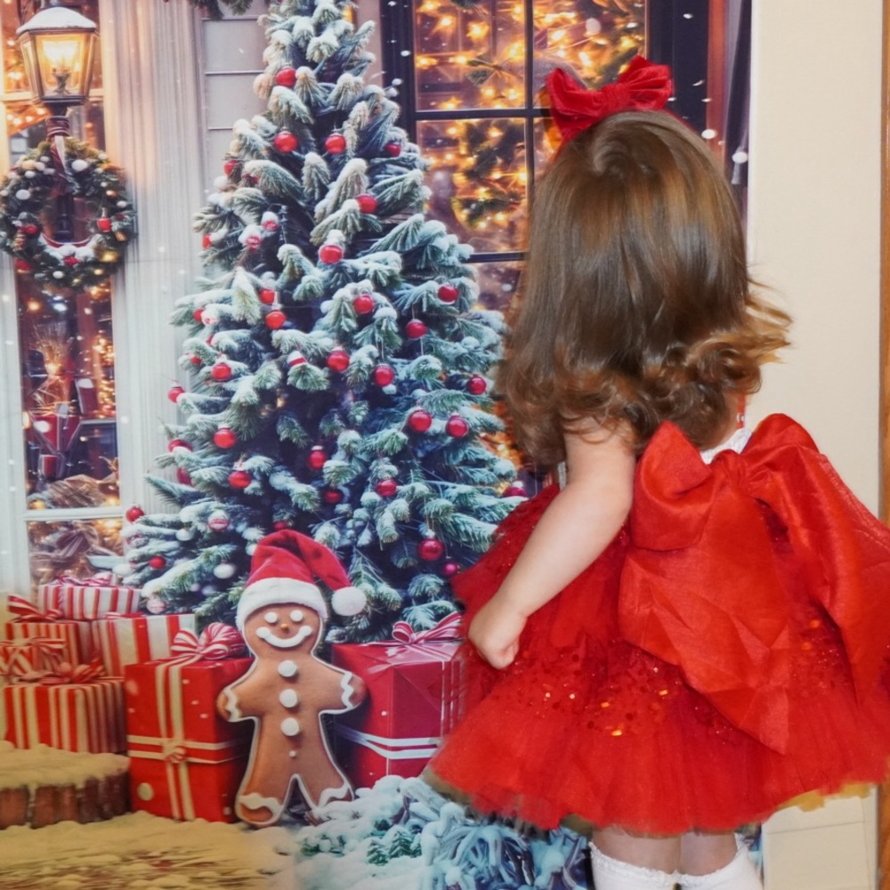Oh Shana! Red Santa Dress with Sequins Poof and Bloomers 2T - Picture 8 of 8